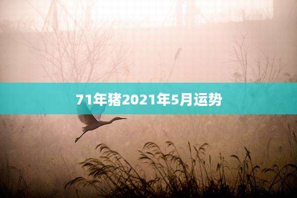 71年猪2021年5月运势