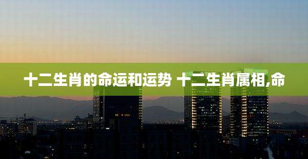 十二生肖的命运和运势 十二生肖属相,命