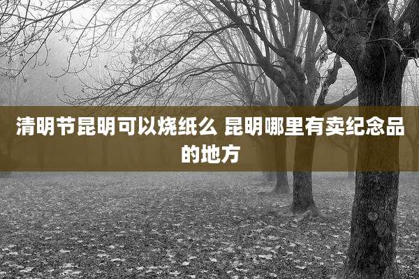 清明节昆明可以烧纸么 昆明哪里有卖纪念品的地方