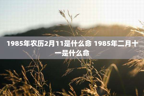 1985年农历2月11是什么命 1985年二月十一是什么命