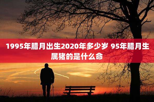 1995年腊月出生2020年多少岁 95年腊月生属猪的是什么命