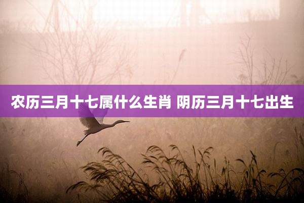 农历三月十七属什么生肖 阴历三月十七出生
