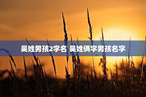 吴姓男孩2字名 吴姓俩字男孩名字