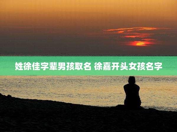 姓徐佳字辈男孩取名 徐嘉开头女孩名字