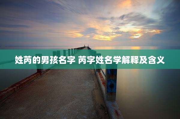 姓芮的男孩名字 芮字姓名学解释及含义