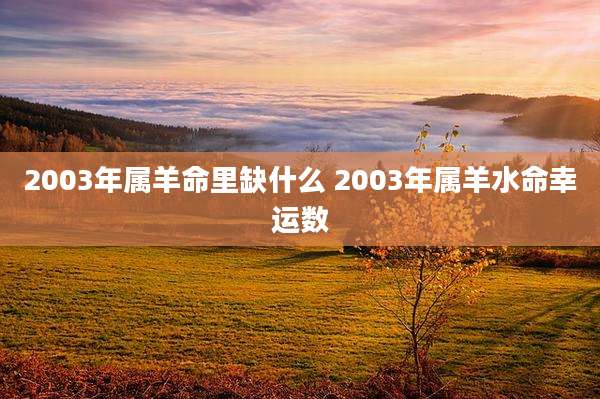 2003年属羊命里缺什么 2003年属羊水命幸运数