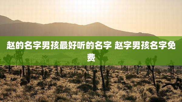 赵的名字男孩最好听的名字 赵字男孩名字免费