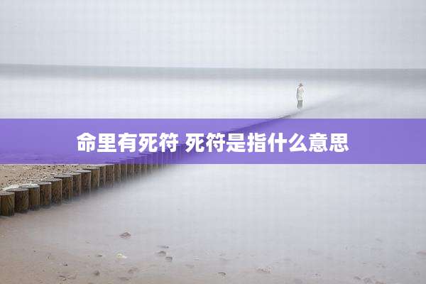 命里有死符 死符是指什么意思