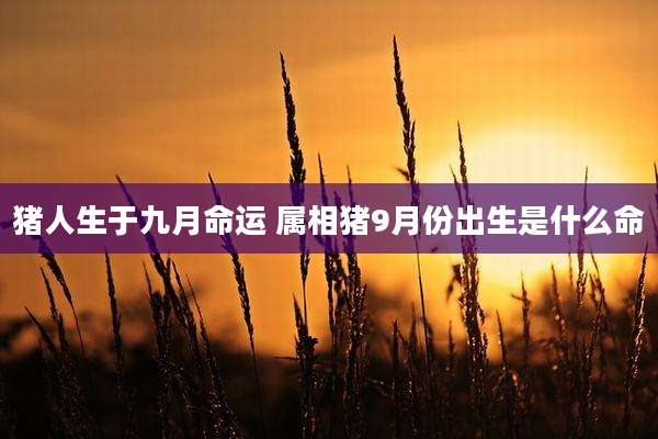 猪人生于九月命运 属相猪9月份出生是什么命