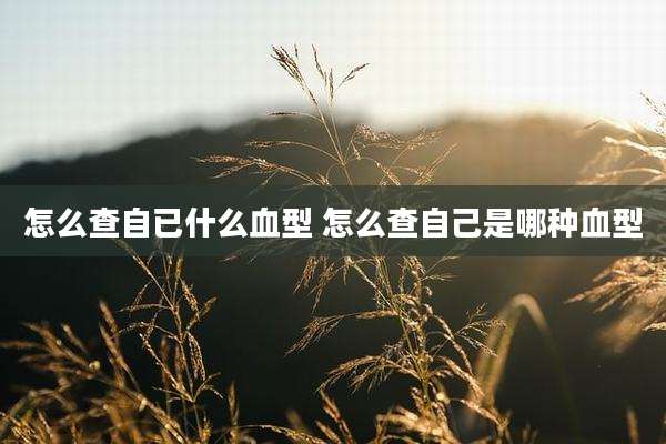 怎么查自已什么血型 怎么查自己是哪种血型