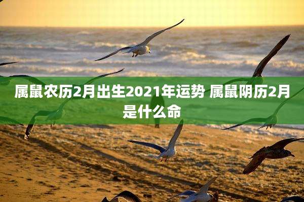 属鼠农历2月出生2021年运势 属鼠阴历2月是什么命