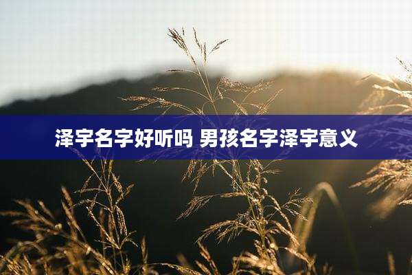 泽宇名字好听吗 男孩名字泽宇意义