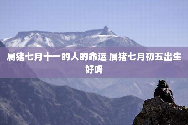 属猪七月十一的人的命运 属猪七月初五出生好吗
