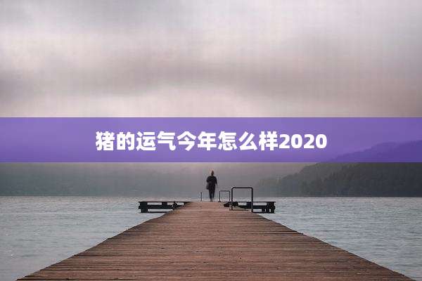 猪的运气今年怎么样2020