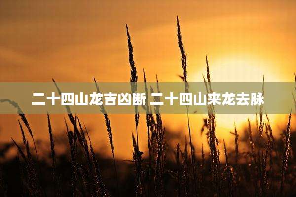 二十四山龙吉凶断 二十四山来龙去脉