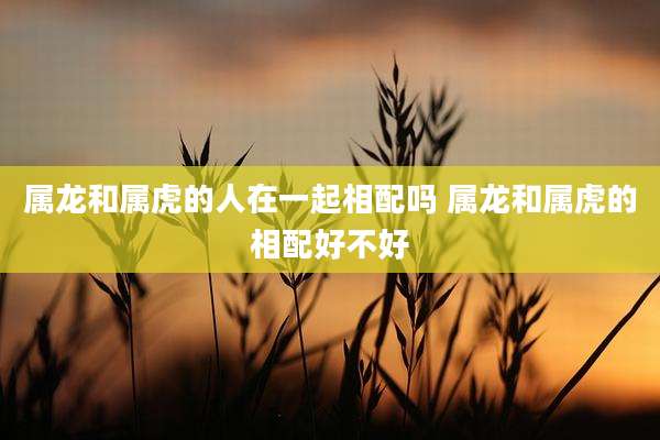 属龙和属虎的人在一起相配吗 属龙和属虎的相配好不好