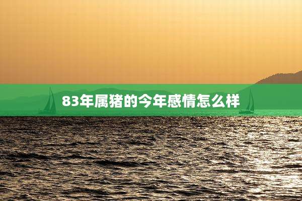 83年属猪的今年感情怎么样