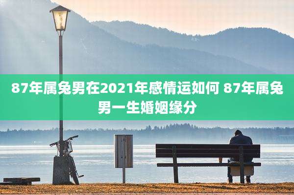 87年属兔男在2021年感情运如何 87年属兔男一生婚姻缘分