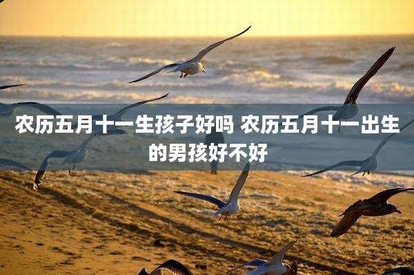 农历五月十一生孩子好吗 农历五月十一出生的男孩好不好