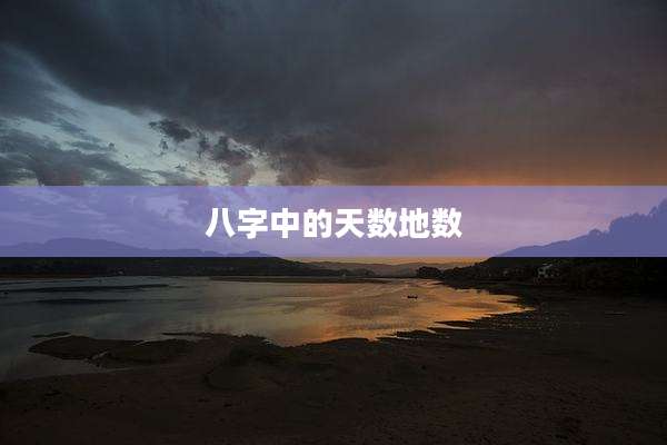 八字中的天数地数