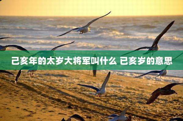 己亥年的太岁大将军叫什么 已亥岁的意思