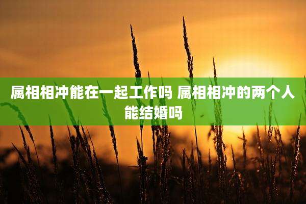 属相相冲能在一起工作吗 属相相冲的两个人能结婚吗