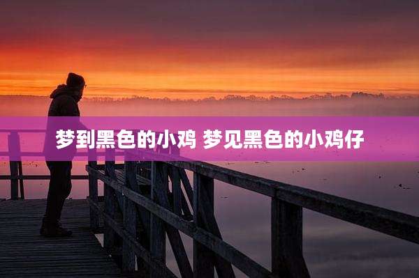 梦到黑色的小鸡 梦见黑色的小鸡仔