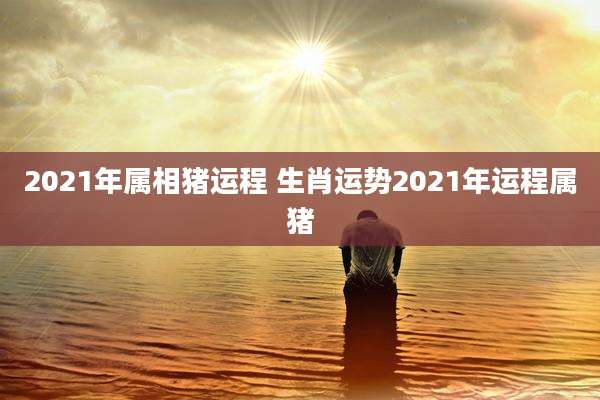 2021年属相猪运程 生肖运势2021年运程属猪