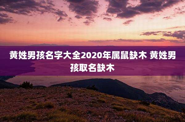 黄姓男孩名字大全2020年属鼠缺木 黄姓男孩取名缺木