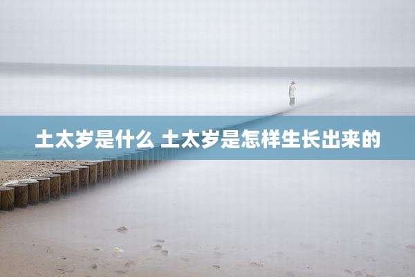 土太岁是什么 土太岁是怎样生长出来的