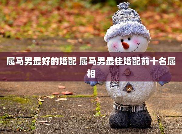 属马男最好的婚配 属马男最佳婚配前十名属相