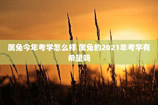 属兔今年考学怎么样 属兔的2021年考学有希望吗