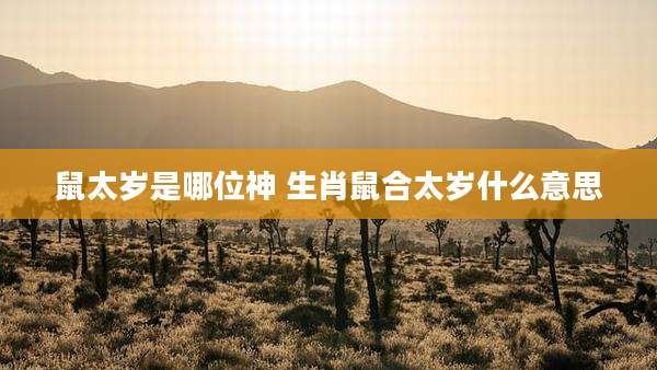 鼠太岁是哪位神 生肖鼠合太岁什么意思