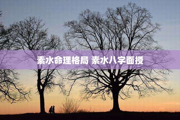 素水命理格局 素水八字面授