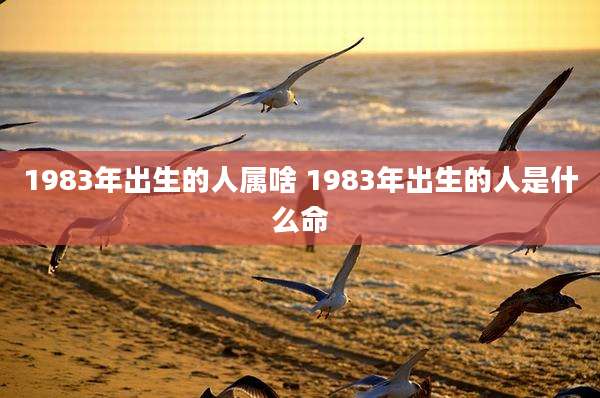 1983年出生的人属啥 1983年出生的人是什么命