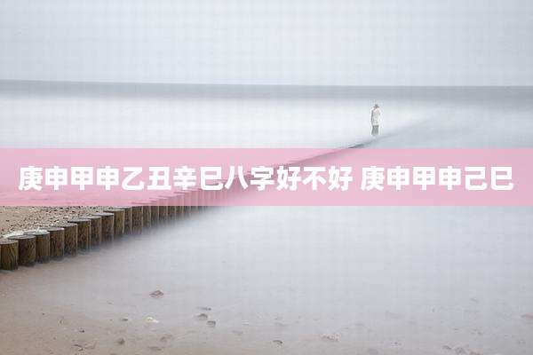 庚申甲申乙丑辛巳八字好不好 庚申甲申己巳