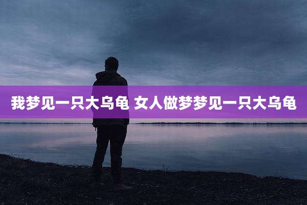 我梦见一只大乌龟 女人做梦梦见一只大乌龟