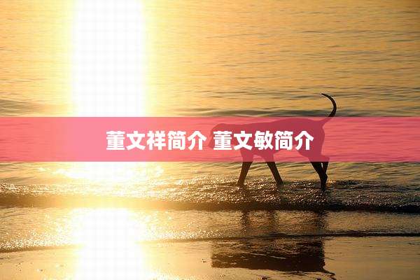 董文祥简介 董文敏简介