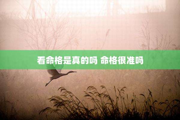 看命格是真的吗 命格很准吗