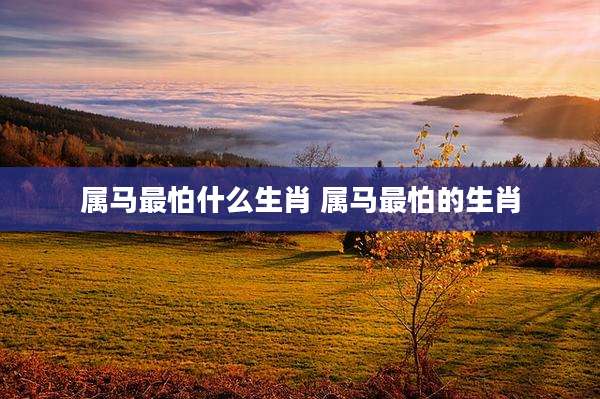 属马最怕什么生肖 属马最怕的生肖