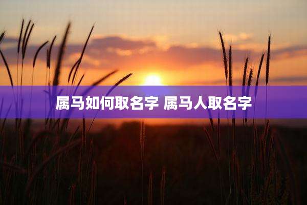 属马如何取名字 属马人取名字