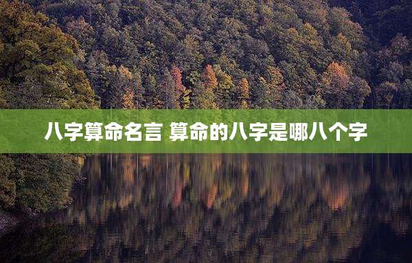 八字算命名言 算命的八字是哪八个字