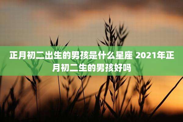 正月初二出生的男孩是什么星座 2021年正月初二生的男孩好吗