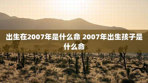 出生在2007年是什么命 2007年出生孩子是什么命
