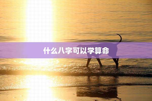 什么八字可以学算命