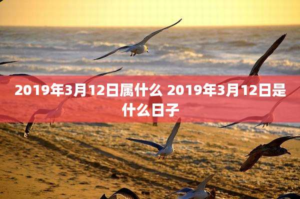 2019年3月12日属什么 2019年3月12日是什么日子