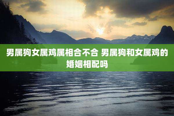 男属狗女属鸡属相合不合 男属狗和女属鸡的婚姻相配吗