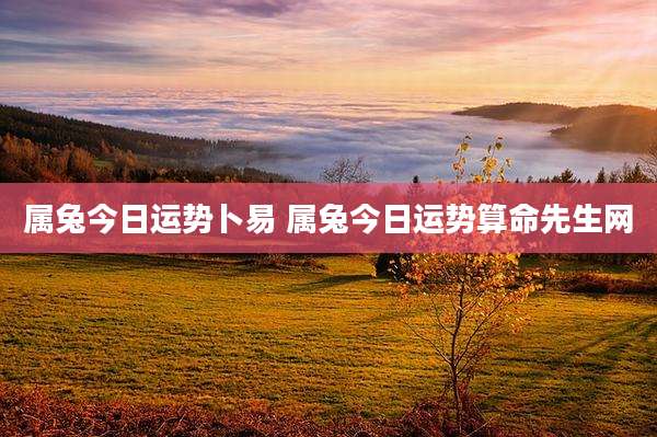 属兔今日运势卜易 属兔今日运势算命先生网