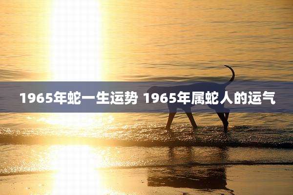 1965年蛇一生运势 1965年属蛇人的运气