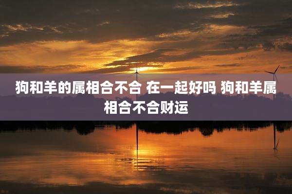 狗和羊的属相合不合 在一起好吗 狗和羊属相合不合财运